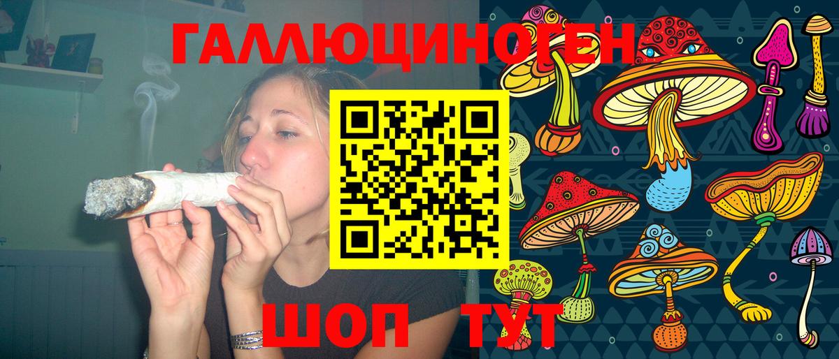 Псилоцибиновые грибы Psilocybine cubensis  Вход с VPN  Галлюциногенные грибы Psilocybine cubensis  Буйнакск 