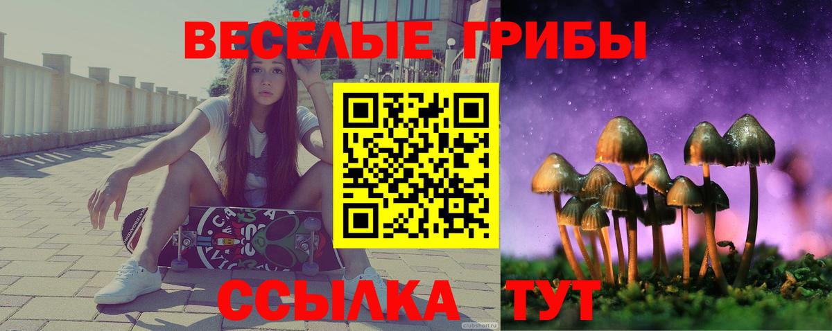 Псилоцибиновые грибы мицелий Буйнакск